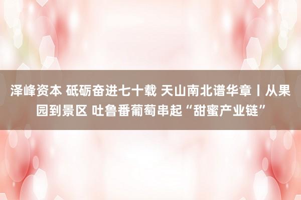 泽峰资本 砥砺奋进七十载 天山南北谱华章丨从果园到景区 吐鲁番葡萄串起“甜蜜产业链”