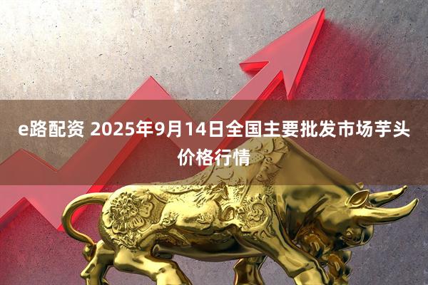 e路配资 2025年9月14日全国主要批发市场芋头价格行情