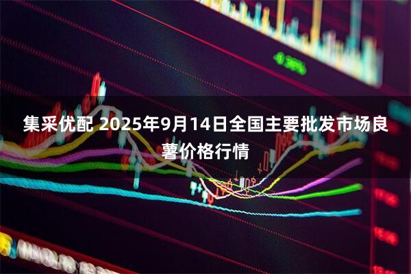 集采优配 2025年9月14日全国主要批发市场良薯价格行情