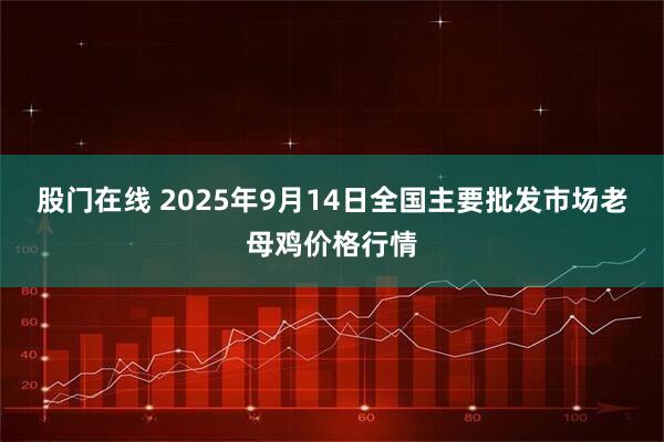 股门在线 2025年9月14日全国主要批发市场老母鸡价格行情