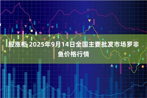股涨柜 2025年9月14日全国主要批发市场罗非鱼价格行情
