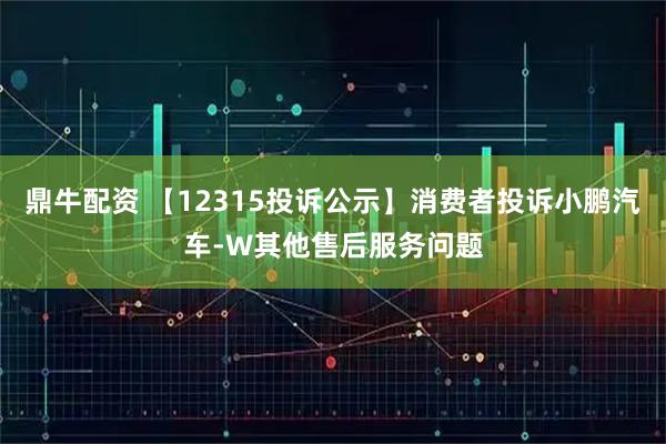 鼎牛配资 【12315投诉公示】消费者投诉小鹏汽车-W其他售后服务问题
